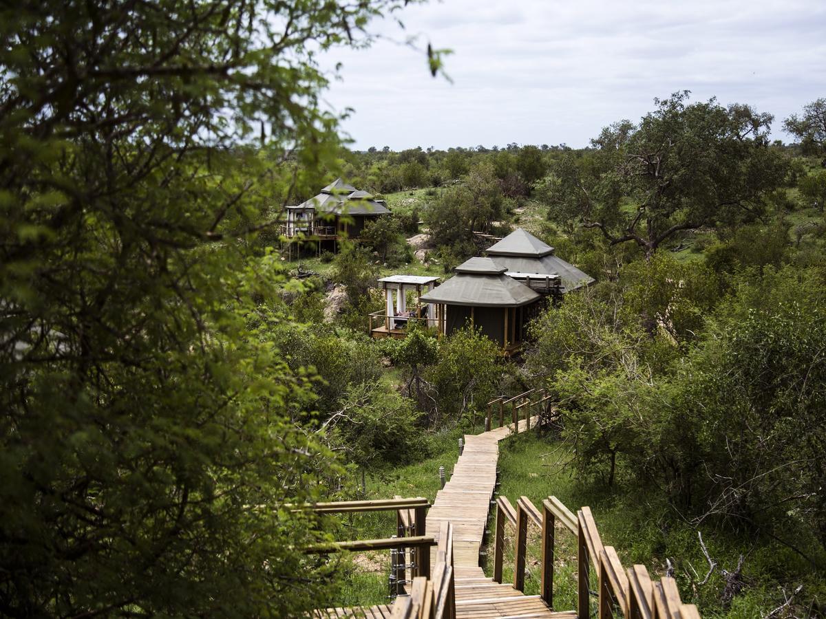 Simbavati Hilltop Lodge Reserva Timbavati Exterior foto